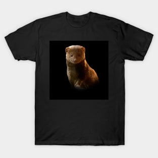 Dwarf mongoose T-Shirt